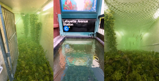 New York : l’illusion parfaite d’un monde sous-marin dans une bouche de métro