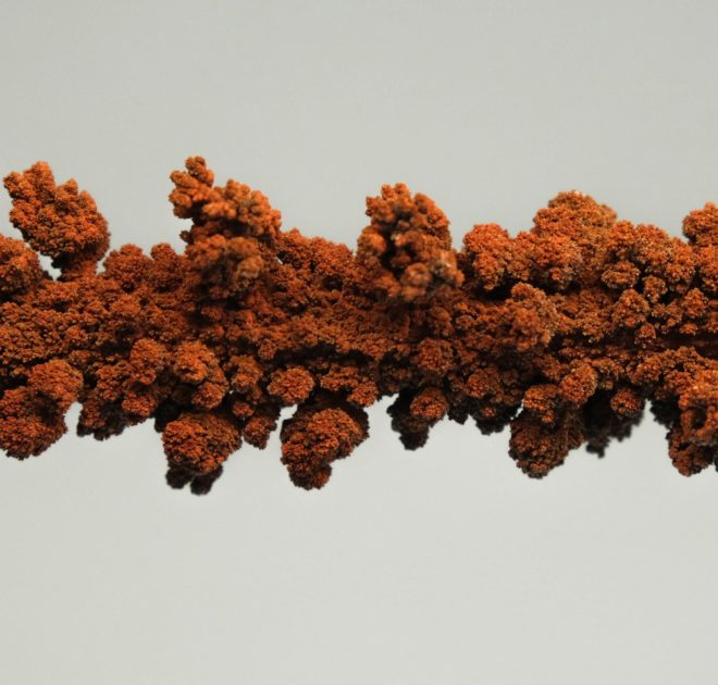 Art to envisage our ecological futures